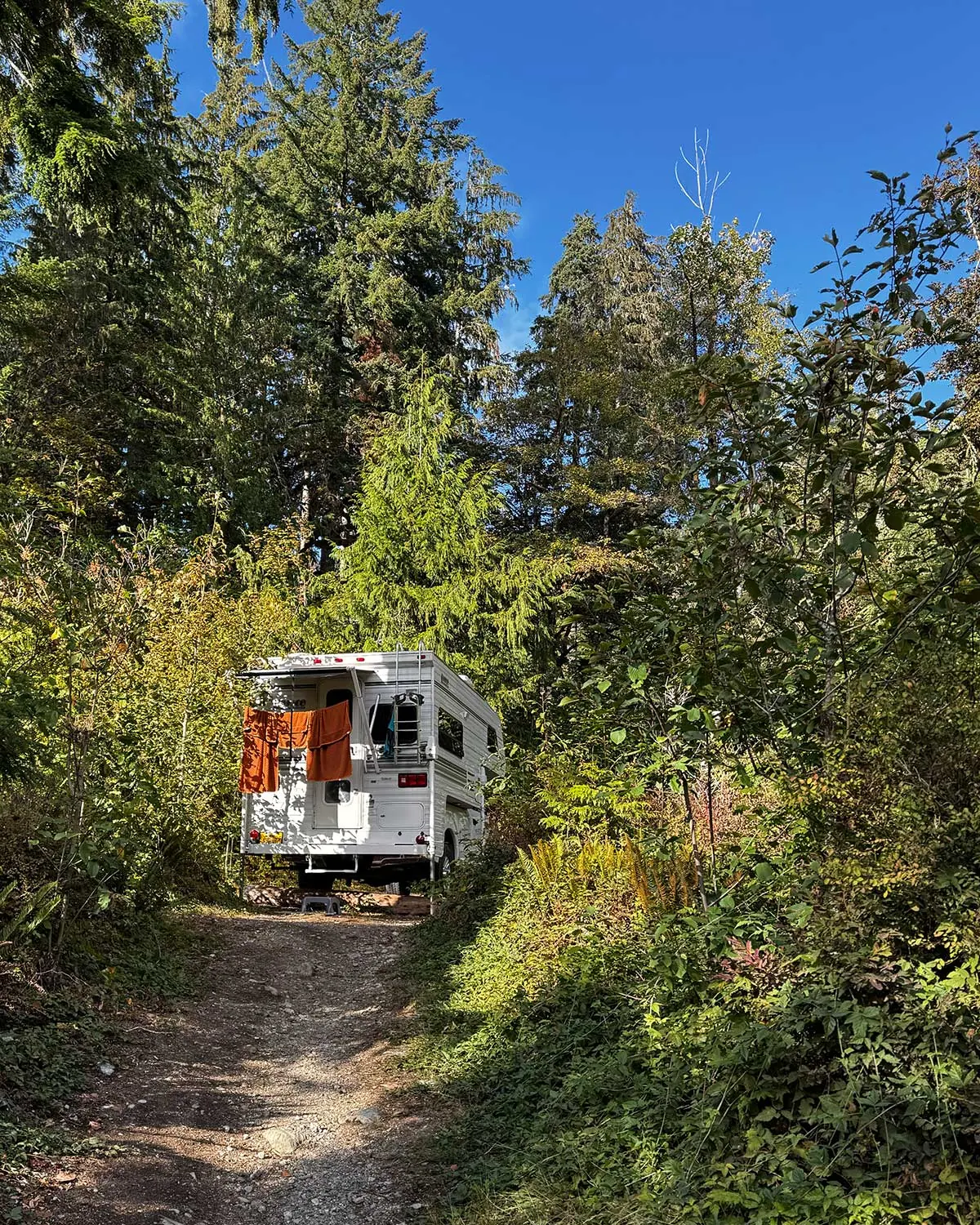 The couple&rsquo;s truck camper parked along a forest trail